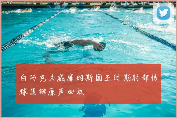 白巧克力威廉姆斯国王时期肘部传球集锦原声回放