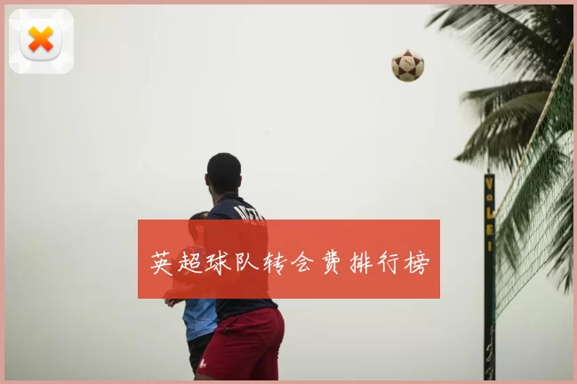 英超球队转会费排行榜