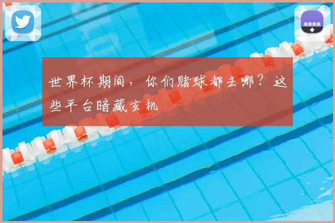 世界杯期间，你们赌球都去哪？这些平台暗藏玄机