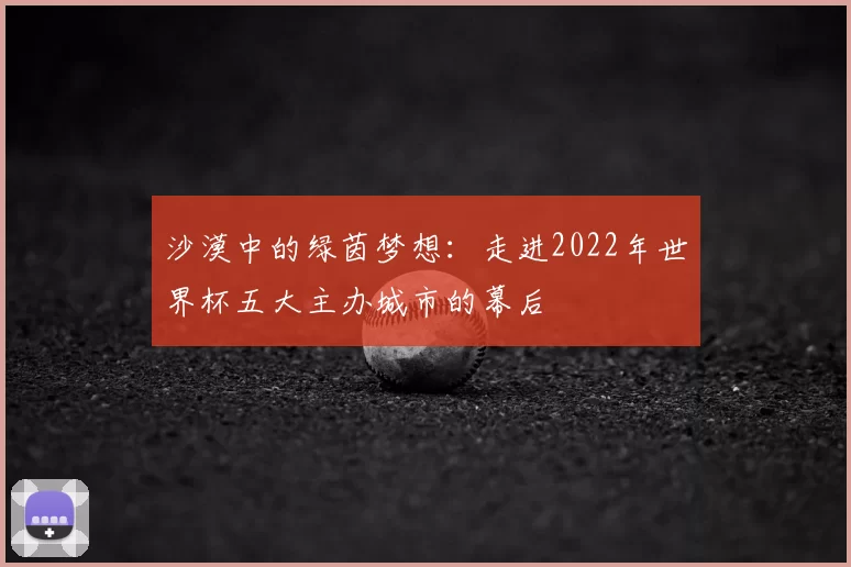 沙漠中的绿茵梦想:走进2022年世界杯五大主办城市的幕后