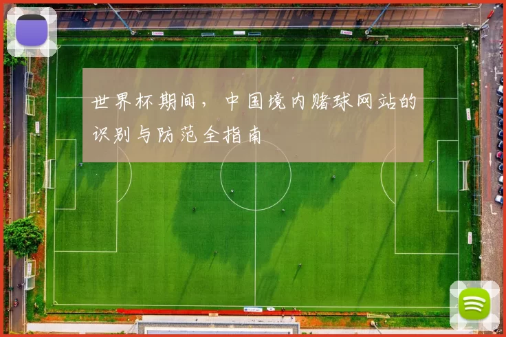 世界杯期间，中国境内赌球网站的识别与防范全指南