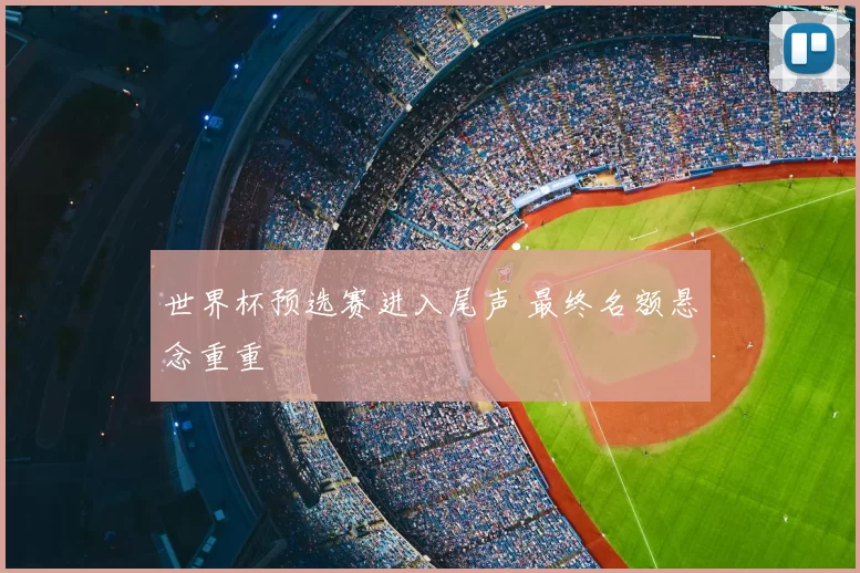 世界杯预选赛进入尾声 最终名额悬念重重