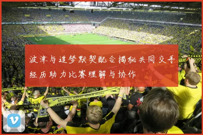 波津与追梦默契配合揭秘共同交手经历助力比赛理解与协作