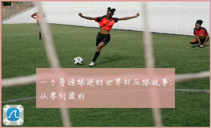 一个普通球迷的世界杯压球故事：从零到盈利