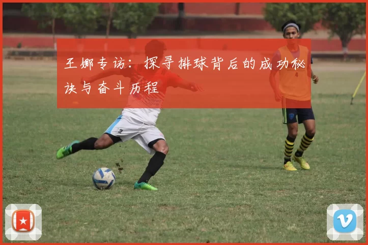 王娜专访:探寻排球背后的成功秘诀与奋斗历程