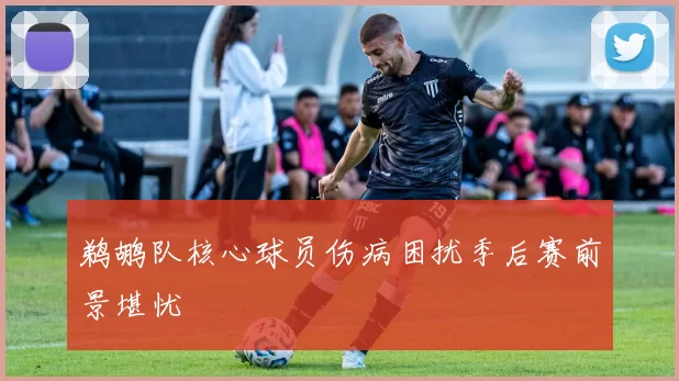 鹈鹕队核心球员伤病困扰季后赛前景堪忧