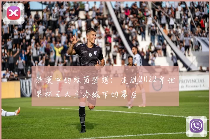 沙漠中的绿茵梦想：走进2022年世界杯五大主办城市的幕后