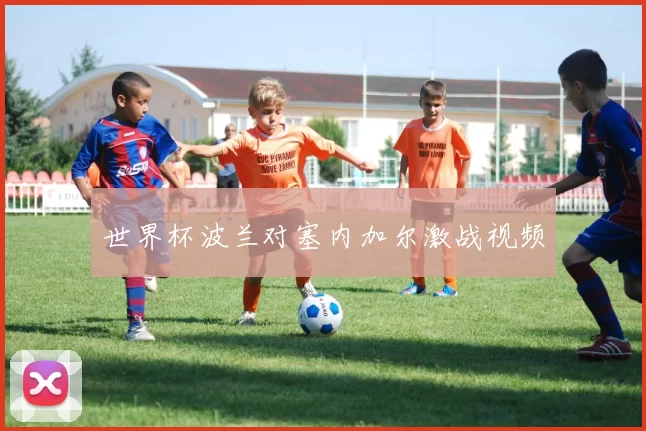 世界杯波兰对塞内加尔激战视频