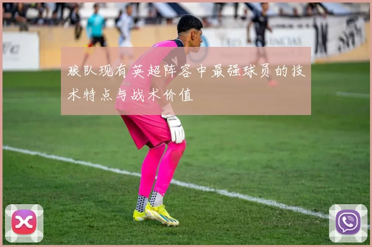 狼队现有英超阵容中最强球员的技术特点与战术价值