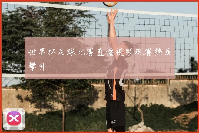 世界杯足球比赛直播视频观赛热度攀升
