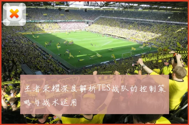 王者荣耀深度解析TES战队的控制策略与战术运用
