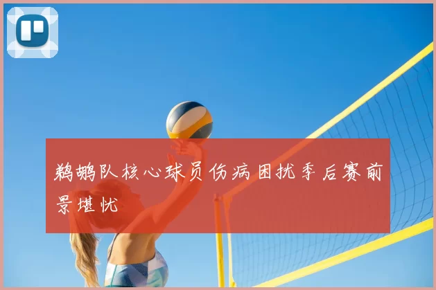 鹈鹕队核心球员伤病困扰季后赛前景堪忧