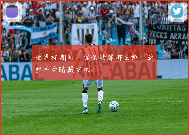 世界杯期间，你们赌球都去哪？这些平台暗藏玄机