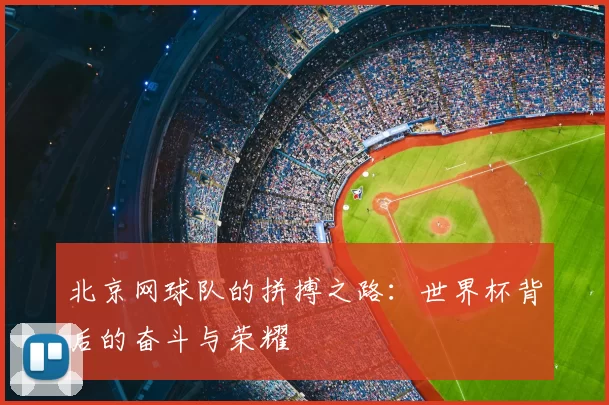 北京网球队的拼搏之路：世界杯背后的奋斗与荣耀
