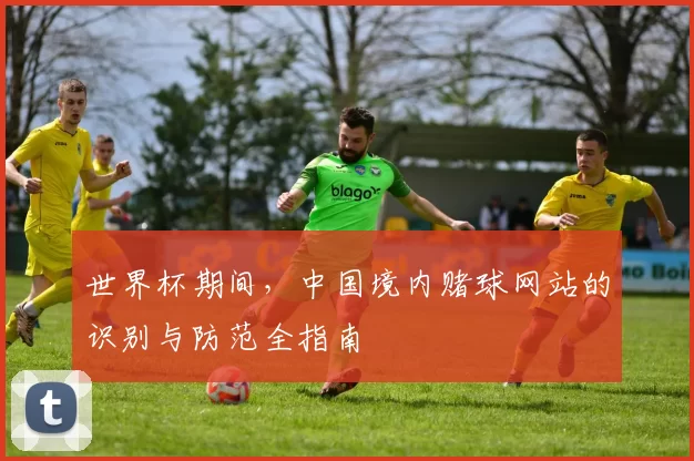 世界杯期间，中国境内赌球网站的识别与防范全指南